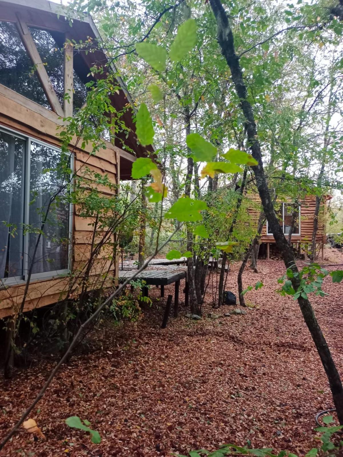 Cabanas Huilipan Las Trancas Exterior foto