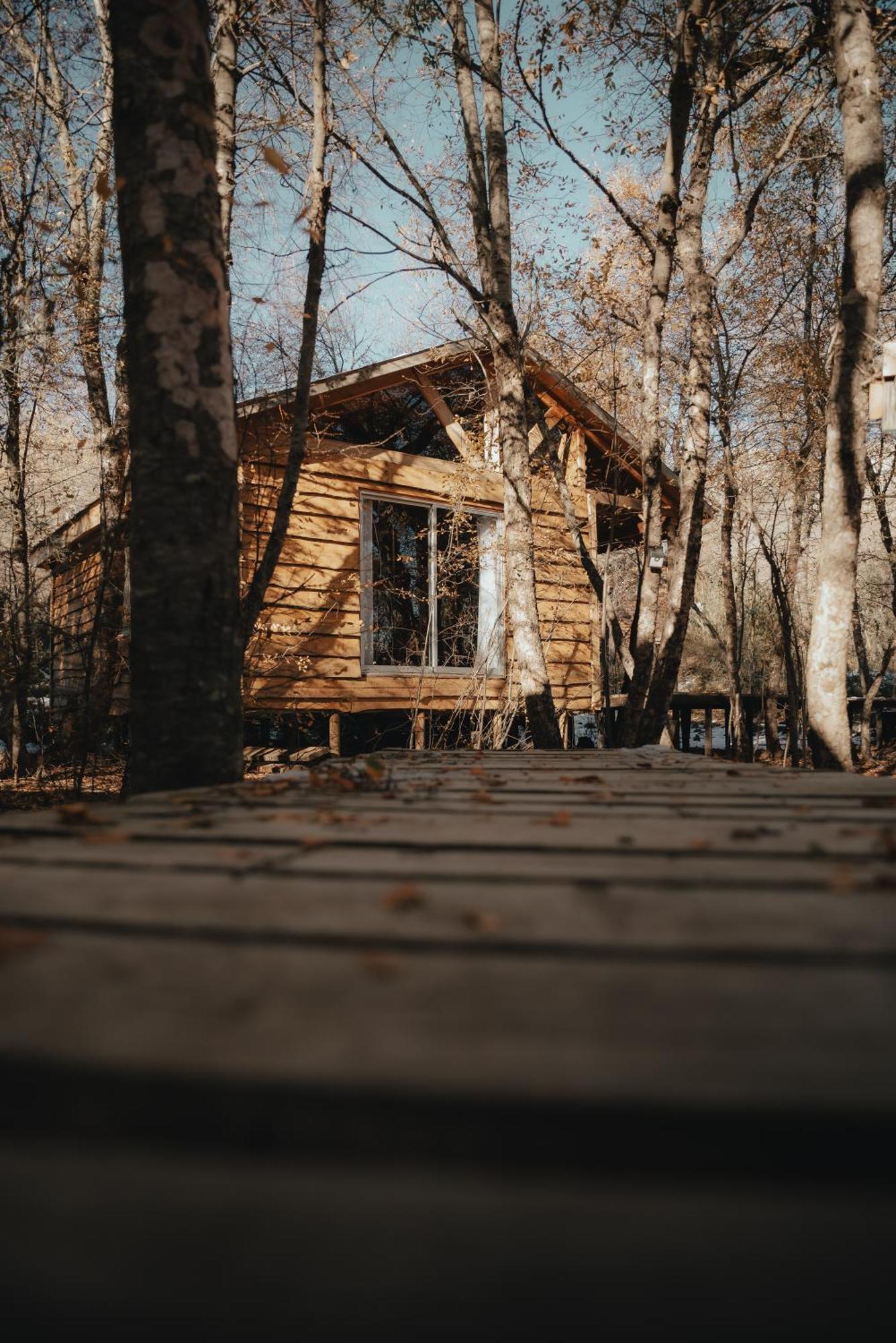 Cabanas Huilipan Las Trancas Exterior foto